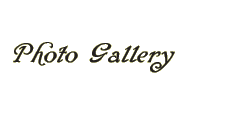 Photo Gallery