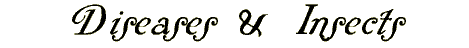 disease.gif (1614 bytes)