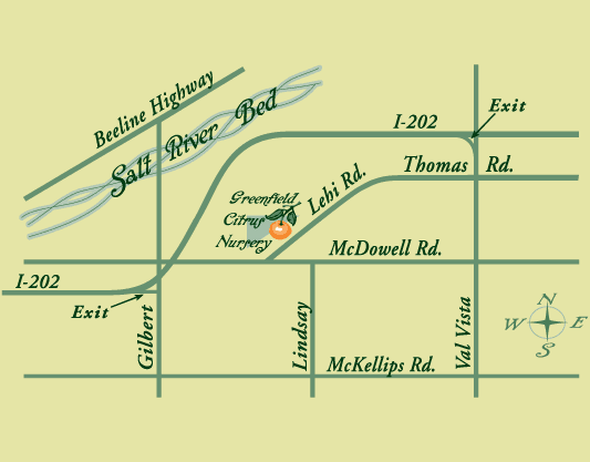Detailed Map