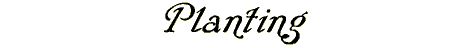 disease.gif (5030 bytes)
